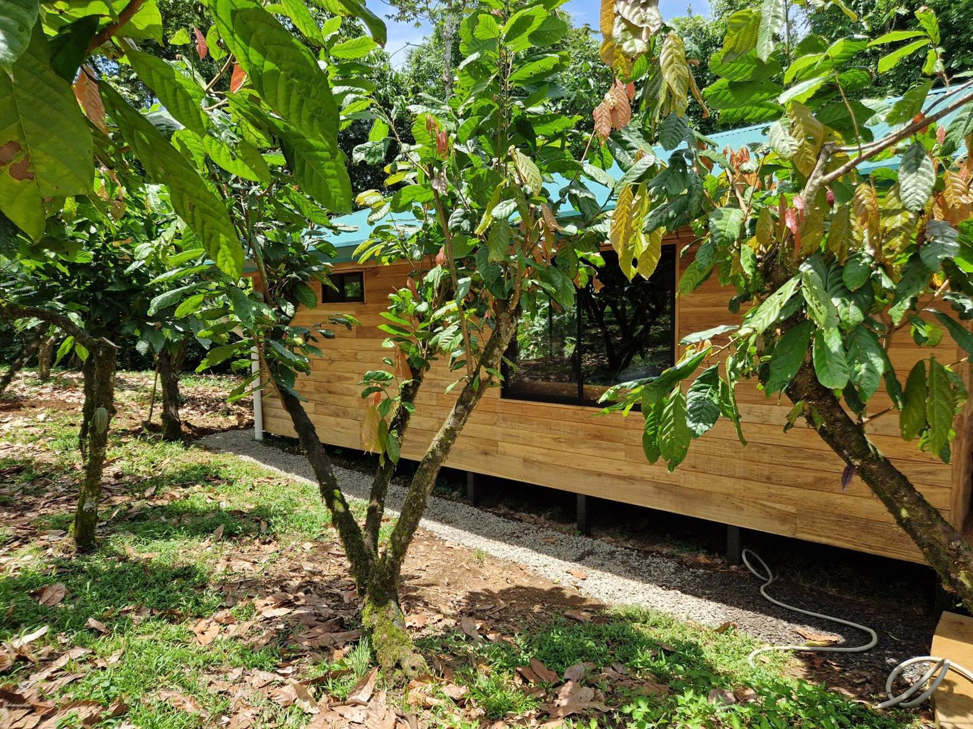 Finca Amistad Cacao Lodge Бихагуа Экстерьер фото