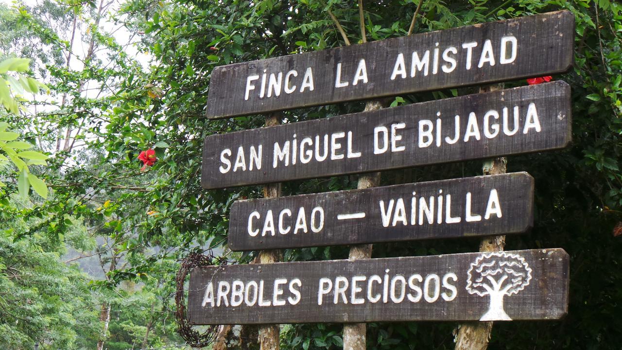 Finca Amistad Cacao Lodge Бихагуа Экстерьер фото