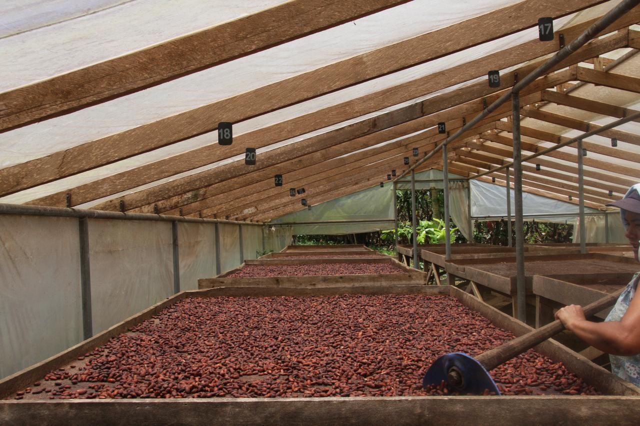 Finca Amistad Cacao Lodge Бихагуа Экстерьер фото