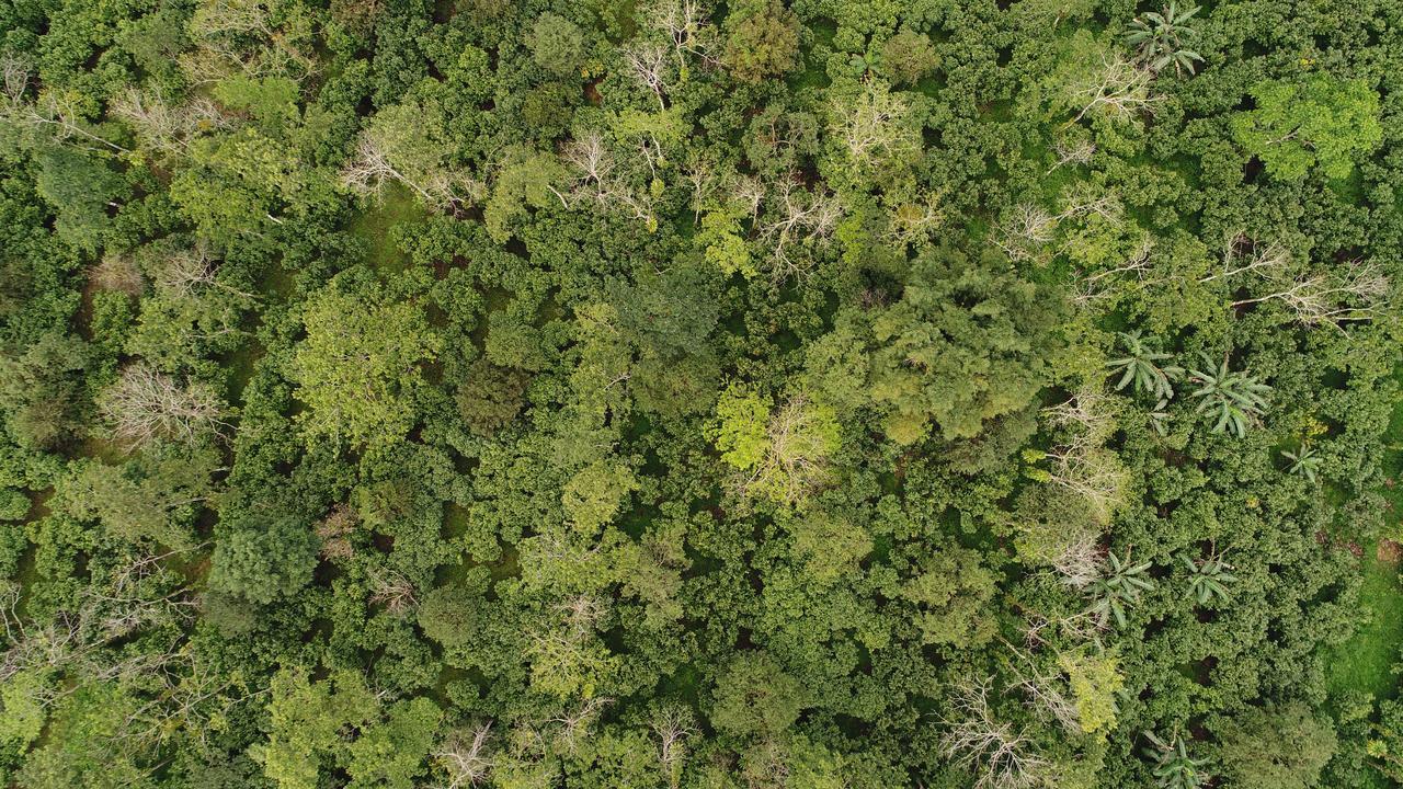 Finca Amistad Cacao Lodge Бихагуа Экстерьер фото